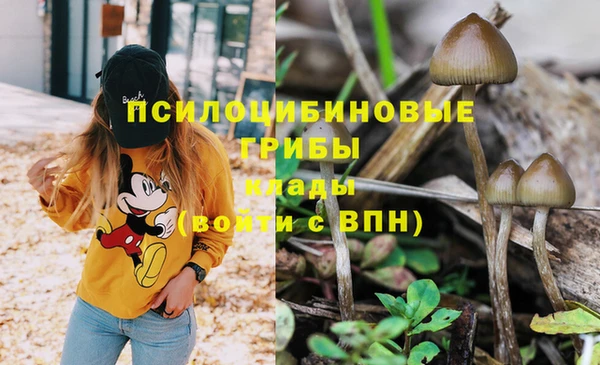 мдпв Богородск