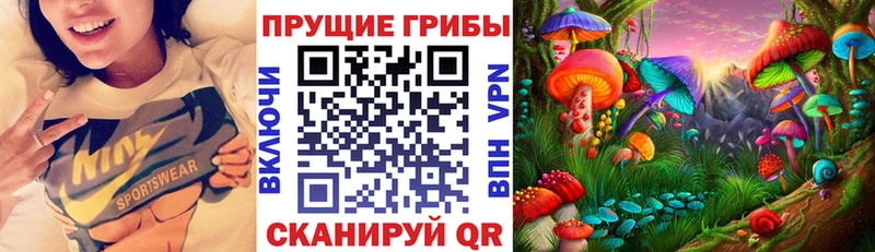 kraken tor  Кингисепп  Псилоцибиновые грибы мицелий 