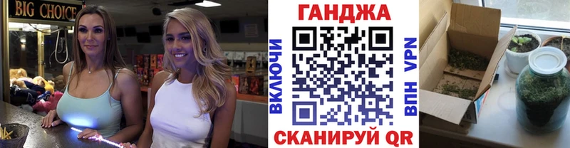 Конопля планчик Кингисепп